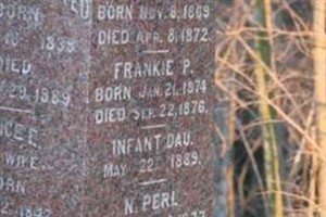 N. Perl Olmsted N. Perl Olmsted