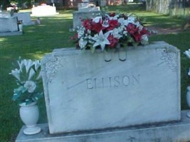 N Roberta Ballard Ellison
