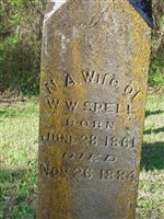 N A Spell N A Spell