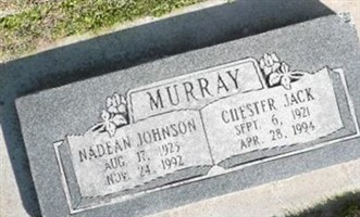 Nadean Johnson Murray