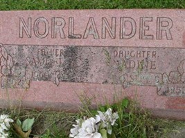 Nadine Norlander
