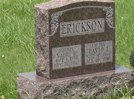 Naemi M Erickson