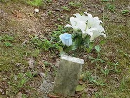 Name Unknown (1880722.jpg)