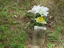 Name Unknown