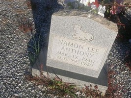 Namon Lee Anthony