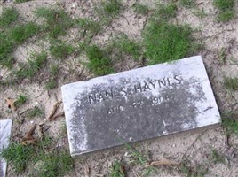 Nan S Haynes