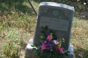 Nancy A Clark