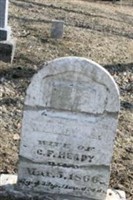 Nancy A. Heady Nancy A. Heady