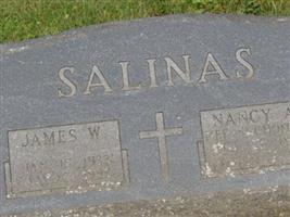 Nancy A. Suchomski Salinas