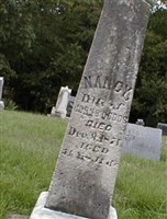 Nancy Ann Burress Dodds