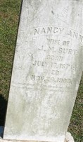 Nancy Ann Burt