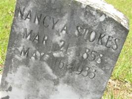 Nancy Ann Davidson Stokes