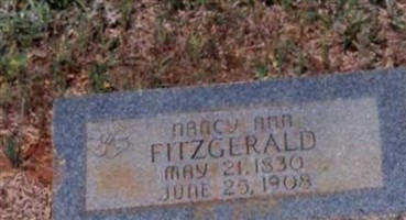 Nancy Ann Fitzgerald Fitzgerald Nancy Ann Fitzgerald Fitzgerald