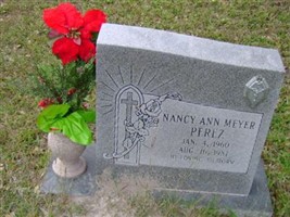 Nancy Ann Meyer Perez