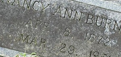 Nancy Ann Walker Burnett