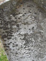 Nancy Blaylock (1868751.jpg)