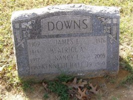 Nancy E Downs