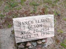 Nancy Elaine Olson