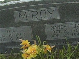 Nancy Eliza McRoy Nancy Eliza McRoy