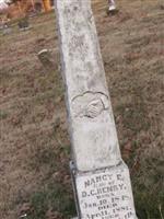 Nancy Elizabeth Douglas Henry