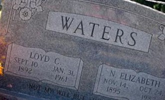 Nancy Elizabeth Wheat Waters Nancy Elizabeth Wheat Waters