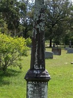 Nancy Ella Traylor Nancy Ella Traylor