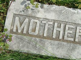 Nancy Ellen Dixon Ewers