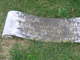 Nancy Ellenor McDaniel Trapp