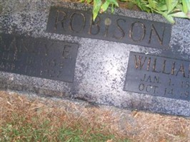 Nancy Emaline "Emma" Green Robinson