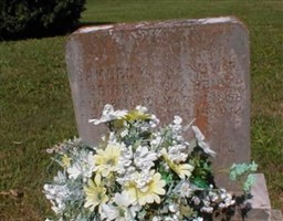 Nancy F. Cox Seiber Nancy F. Cox Seiber