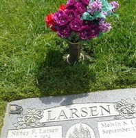 Nancy Ferguson Larsen