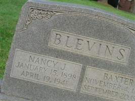 Nancy J Blevins Nancy J Blevins