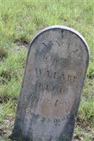 Nancy J. Earp
