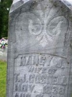 Nancy J Gosnell