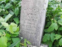 Nancy J. Higgs
