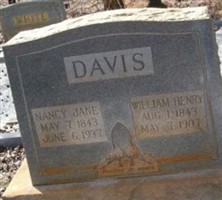 Nancy Jane Davis Nancy Jane Davis