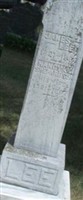 Nancy Jane Shepardson Lee