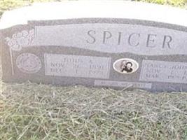 Nancy Johnson Spicer