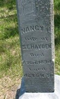 Nancy L Hayden