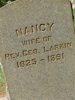 Nancy Larkin