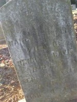 Nancy Pickles? Davis (1908838.jpg)