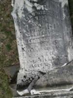 Nancy Scovil Wilcox