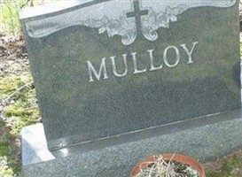 Nancy Therese Mulloy