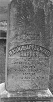 Nannie Applewhite Barnes Nannie Applewhite Barnes