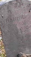 Nannie Ayers