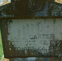 Nannie C Carter (2179916.jpg)