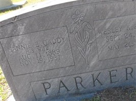 Nannie E Gaddy Parker