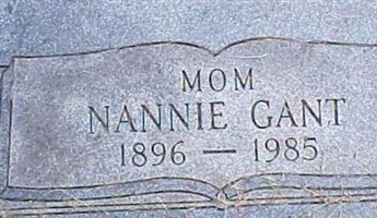 Nannie Elizabeth Towe Gant