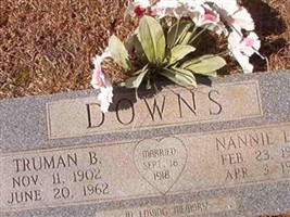 Nannie Lee Downs
