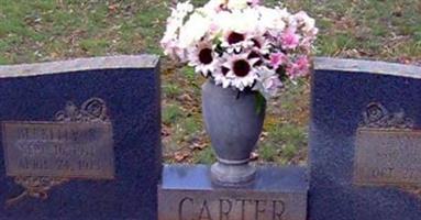 Nannie M Carter